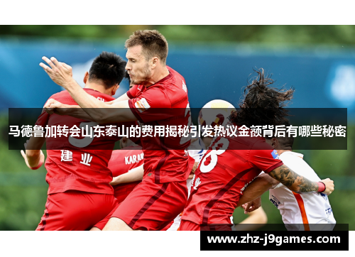 马德鲁加转会山东泰山的费用揭秘引发热议金额背后有哪些秘密